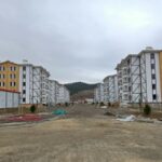 WhatsApp Image 2026-01-11 at 11.39.07