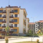 WhatsApp Image 2026-01-11 at 11.39.45