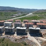 WhatsApp Image 2026-01-11 at 11.39.52