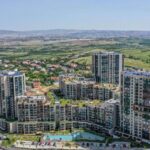 WhatsApp Image 2026-01-11 at 11.40.20